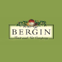 bergin.com