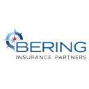 beringinsurance.com