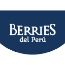 berriesdelperu.com