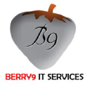 BERRY9 IT SERVICES