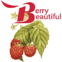 Berry Beautiful