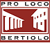 bertiolo.com logo icon