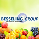 besseling-group.com