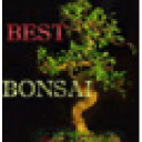 best-bonsai.com