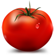 bestjuicytomatoes.com Logo