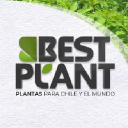 bestplant.cl