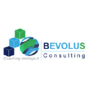 bevolus-consulting.com