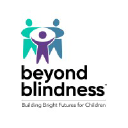 beyond blindness
