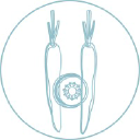 Beyond Sushi logo