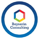 beyserinconsulting.com