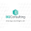 BG Consulting Solutions LLC logo