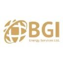 bgienergyservices.com