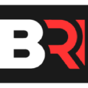 Company logo for bicoccarepuestos.com.ar