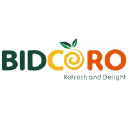 bidcoroafrica.com