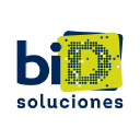 bidsoluciones.es