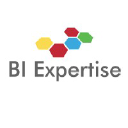 BI Expertise