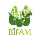 bifam.org.mx