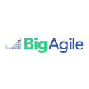 Big Agile
