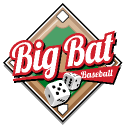 bigbatbaseball.com
