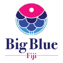 bigbluefiji.com