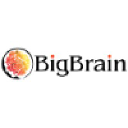 bigbrain.info