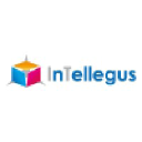 intellegus.nl