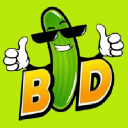 Logo for bigdill.com