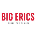 bigerics.com logo