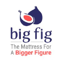 Big Fig Mattress