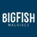 bigfish.mv