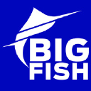 bigfish.mx