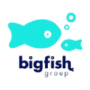 bigfishgroup.co.uk