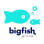 Big Fish Group Limited logo