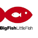 Big Fish Little Fish logo