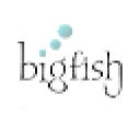 bigfishsearch.com