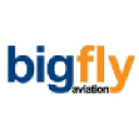 bigflyfinance.com