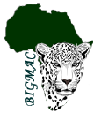 Bigmacafricasafaris