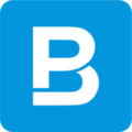 BigPicture.io logo
