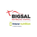 bigsal.com.br