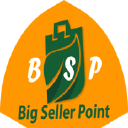 bigsellerpoint.com