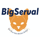 bigserval.com