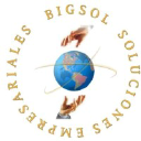 bigsol.net