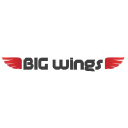 Big Wings LLC