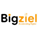 bigziel.com