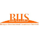 Bridges International Insurance Services