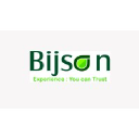 bijson.com