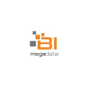 BI-Megadata Consulting