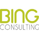 bing-consulting.com