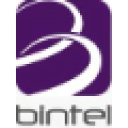 bintel-ltd.com