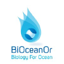 bioceanor.com